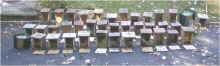0210_AllBoxes.jpg (162481 bytes)
