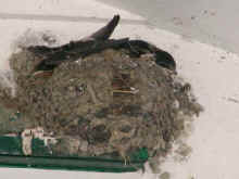 0406_HseMartins_Ready_1.jpg (36020 bytes)