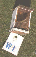 0410_BirdBoxes_Wasp2.jpg (102551 bytes)
