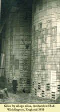 1950_GilesSilage_1.jpg (290301 bytes)