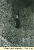 1950_GilesStrawBales_1.jpg (188326 bytes)