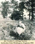 1950_JocCabbage_1.jpg (117841 bytes)
