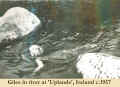 1957c_GilesSwim_2.jpg (212727 bytes)