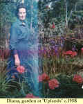 1958c_Diana_2.jpg (322858 bytes)